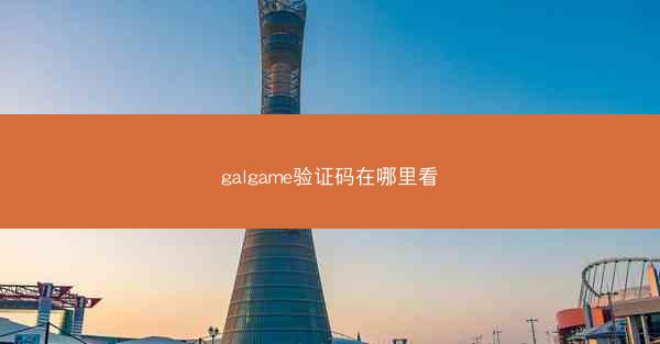 galgame验证码在哪里看