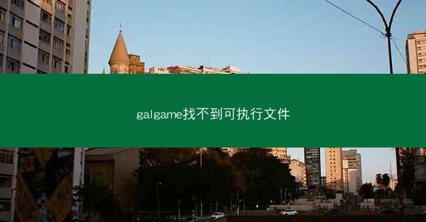 galgame找不到可执行文件