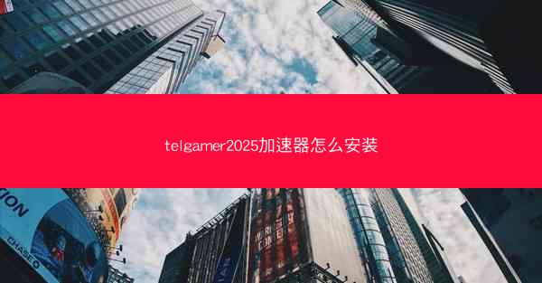 telgamer2025加速器怎么安装