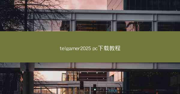 telgamer2025 pc下载教程