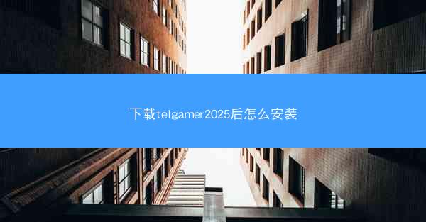 下载telgamer2025后怎么安装