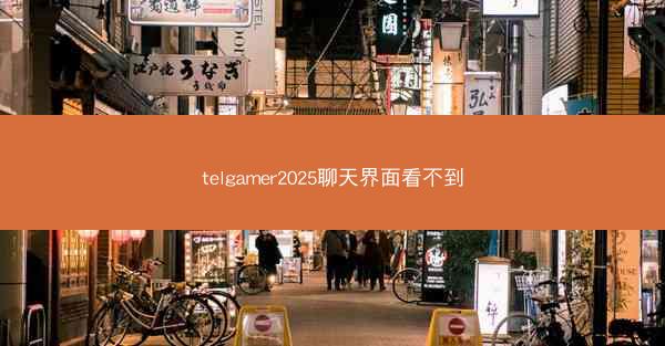 telgamer2025聊天界面看不到