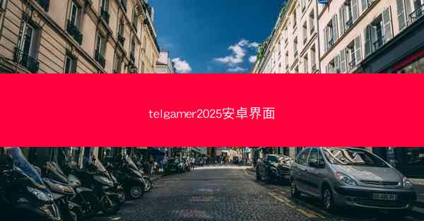 telgamer2025安卓界面