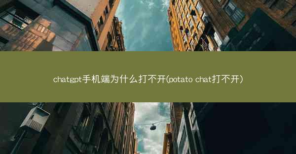 chatgpt手机端为什么打不开(potato chat打不开)