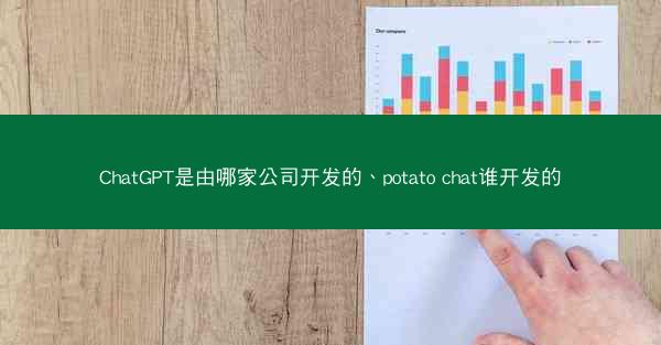 ChatGPT是由哪家公司开发的、potato chat谁开发的